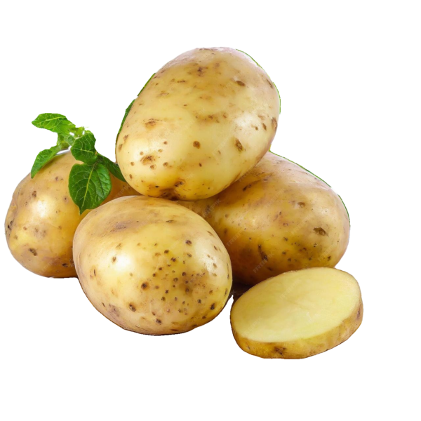 Potato