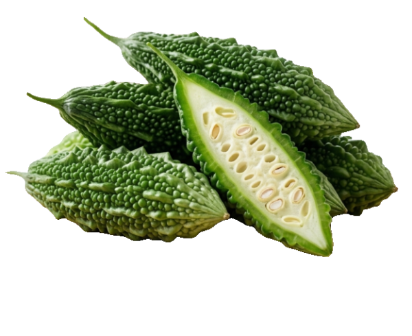 Fresh Organic Bitter Gourd - Premium Quality Karela for Healthy Living