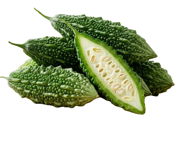 Fresh Organic Bitter Gourd - Premium Quality Karela for Healthy Living