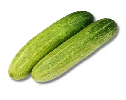 Fresh Organic Cucumbers - Crisp, Healthy & Farm-Direct Produce