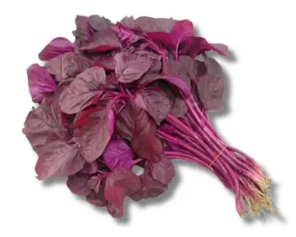 Organic Red Amaranth Spinach - Heirloom, Nutrient-Rich & Fast-Growing