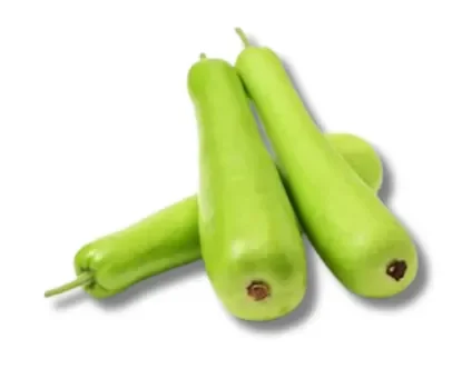 Fresh Organic Bottle Gourd (Lauki) - Healthy & Nutritious Vegetable