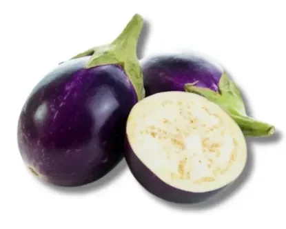 Round Brinjal (Eggplant) - Nutrient-Rich & Versatile
